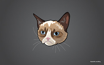 Cute Anime Cat HD wallpaper