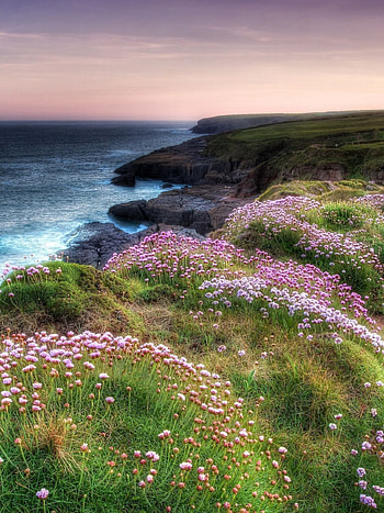 Irish countryside , mobile tablet, Northern Ireland, Scenic beauty HD phone wallpaper