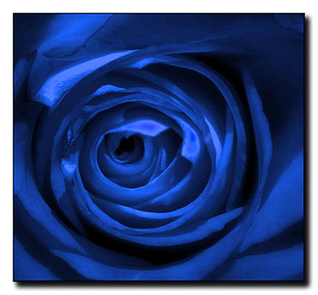Blue Silk Rose, blue, rose, flower, silk, dark HD wallpaper