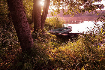 Morning Lake, Trunks, Boat, Bank, Trees HD wallpaper