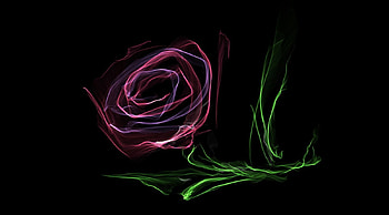 Purple Smoke Rose, smoke, rose, purple, abstract HD wallpaper