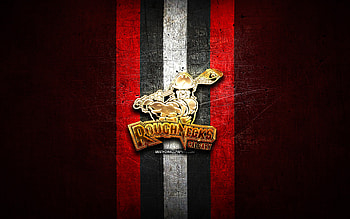 Calgary Roughnecks, golden logo, NLL, red metal background, american lacrosse team, Calgary Roughnecks logo, National Lacrosse League, lacrosse HD wallpaper