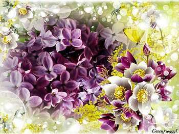 PRETTY LILACS, PRETTY, FLOWERS, FRAMED, LILAC HD wallpaper