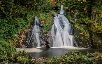 Twin Falls, waterfall, forest, Black Forest, Baden-Wurttemberg, forest waterfalls, Germany HD wallpaper