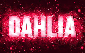 Happy Birtay Dahlia, , pink neon lights, Dahlia name, creative, Dahlia Happy Birtay, Dahlia Birtay, popular american female names, with Dahlia name, Dahlia HD wallpaper