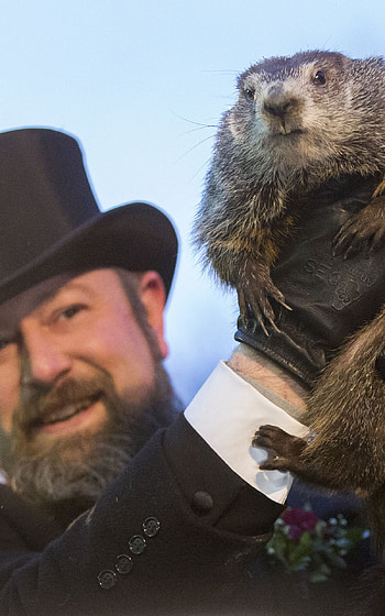 Groundhog Day 2020, Groundhog Day HD phone wallpaper