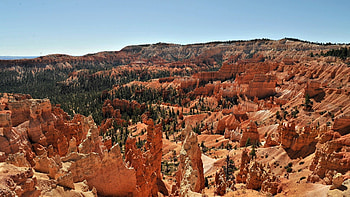 Nature, Trees, Desert, Height, Canyons HD wallpaper