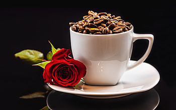 Coffee Beans, rose, coffee, beans, flower HD wallpaper