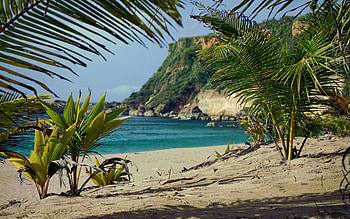Playa Punta Borinquen, Puerto Rico, sea, sand, sky, cliff, palm trees HD wallpaper