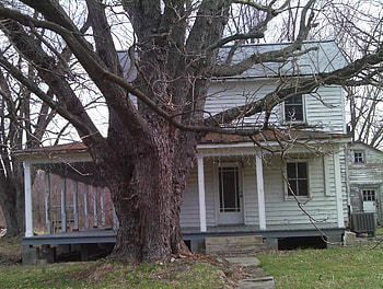 Abandoned house, abandoned, christmas lights, house, tree HD wallpaper