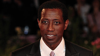 Wesley Snipes Movies, Celeb , Hollywood star, Actor's portrait HD wallpaper