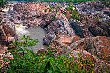 Landscape, Nature, Rivers, Bush, Rocks HD wallpaper