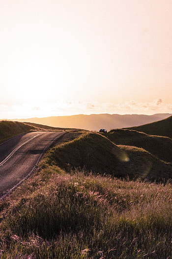 Landscape, Nature, Dawn, Road, Relief, Hilly HD phone wallpaper
