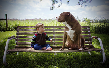 * FRIENDS *, DOGS, DOG, CHILD, ANIMAL, ANI ALS HD wallpaper