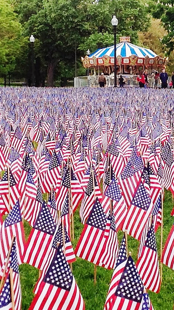Memorial Day, American Flags Background HD phone wallpaper