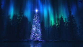 Christmas tree in the forest jpg HD wallpaper