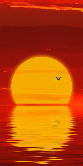 Minimalist sunset, Silhouette beauty, Calming hues, Tranquil scenery HD phone wallpaper