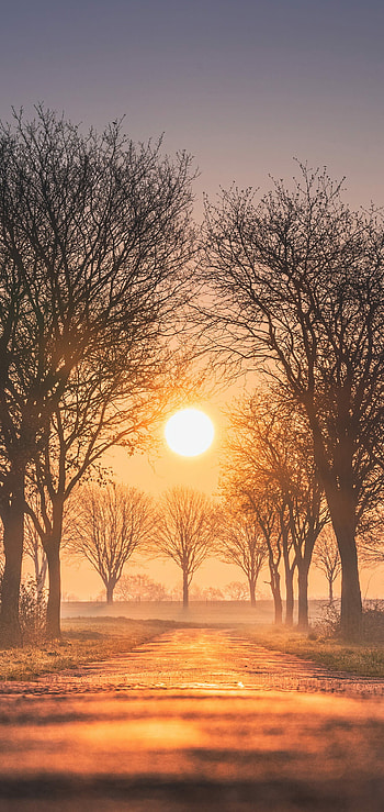 High-definition sunset, Vibrant display, Nature's kaleidoscope, Visual delight HD phone wallpaper