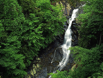 Nature, Trees, Stones, Rocks, Waterfall, Forest, Height HD wallpaper