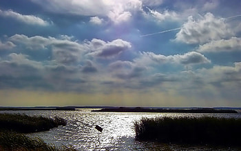 Nature, Water, Sky, Clouds, Ripples, Ripple, Reeds, Thicket, Thickets HD wallpaper