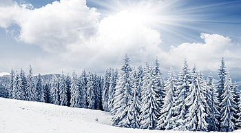 Winter, scene, landscape, , pine forest, pine, bright, snow, clouds, nature, sky, , mountains, sun, forest HD wallpaper