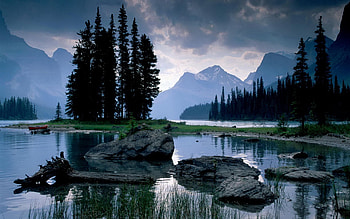 Nature, Rivers, Stones, Wood, Tree HD wallpaper