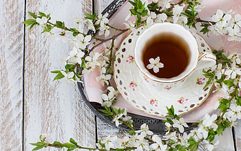 Tea, flowers, cup, drink HD wallpaper