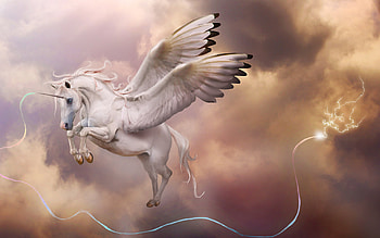 Pegasus unicorn , Mythical portraits, Majestic wings, Graceful horse HD wallpaper
