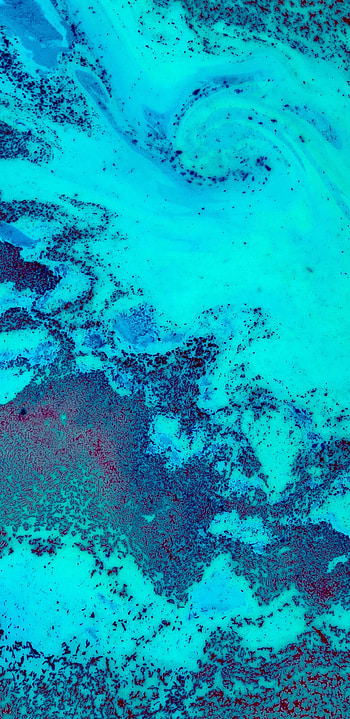 Coral reef , Samsung Galaxy Note 9 8 S9 S8 S8 Q , backgrounds HD phone wallpaper