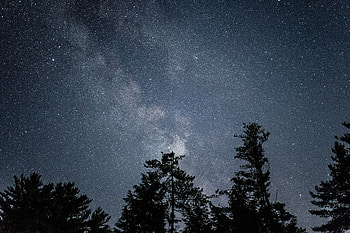 Nature, Trees, Stars, Night, Starry Sky HD wallpaper