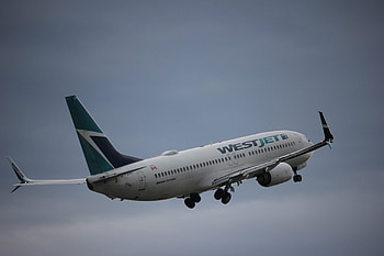 WestJet, Travels, Victoria Airport, Staffing shortages HD wallpaper