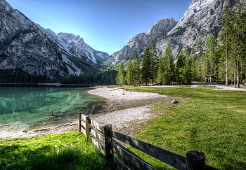 Serene mountain lake with green trees and a rustic fence, perfect nature backdrop. HD wallpaper