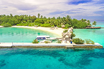 Aerial view of a serene Maldives island with lush greenery and turquoise waters. HD wallpaper