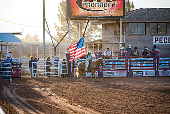 Pecos Rodeo, Rodeo HD wallpaper