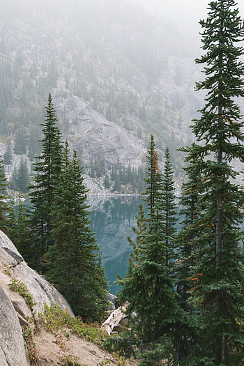 Nature, Mountains, Rocks, Lake, Fog, Spruce, Fir HD phone wallpaper