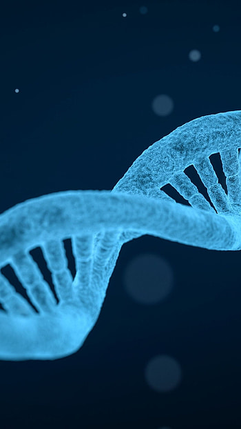 DNA helix, Genetic structure, Technological abstraction, Scientific concept HD phone wallpaper