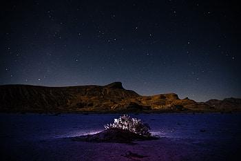Nature, Mountains, Night, Bush, Starry Sky, Backlight, Illumination, Hill HD wallpaper