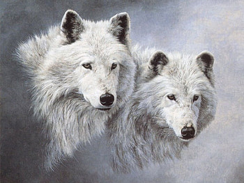 Animals, Wolfs HD wallpaper