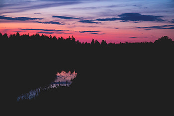 Water, Trees, Grass, Night, Horizon, Dark HD wallpaper
