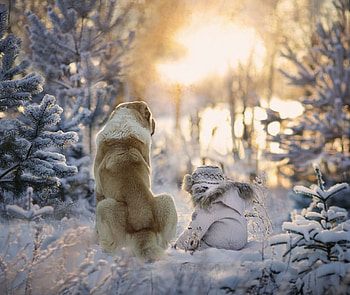 Friends, animals, love, dogs, cute, nature HD wallpaper