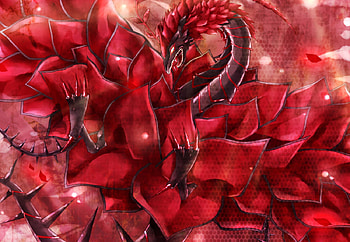 rose dragon, 2342, 5464, 43534, 890709 HD wallpaper