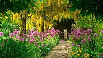 Blooming Garden, color, pillar, trees, garden, flowers, walkway HD wallpaper