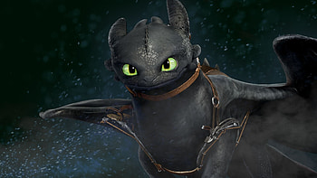 Toothless (How To Train Your Dragon), How To Train Your Dragon 2, How To Train Your Dragon, Movie HD wallpaper