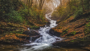Roaring Fork Falls in the mist - Roaring Fork, NC, river, North Carolina, autumn, trees, forest, usa HD wallpaper