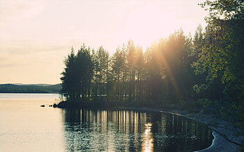 Nature, Trees, Sunset, Sun, Lake, Shore, Bank, Arc HD wallpaper