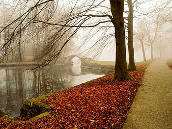 Landscape, Nature, Autumn HD wallpaper