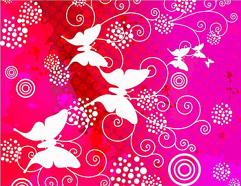 White butterflies, butterflies, white, swirls, pinks, red, whirls HD wallpaper