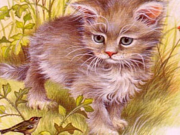 Kitten, cats, painting HD wallpaper