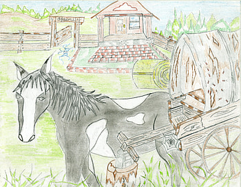 The Pinto Horse, Cartoons, Clip art Horses, Bandele Gatson, Ajaini modeling HD wallpaper