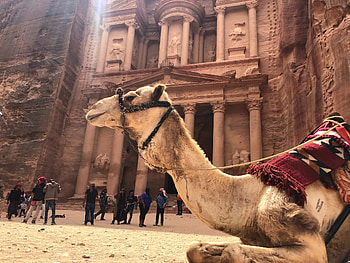 Culture of Jordan, AFS USA, Inter-cultural exchange, Global learning HD wallpaper